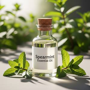 Aceite esencial puro de menta verde de grado terapéutico al por mayor ACEITE DE mentha spicata para cosméticos y aromaterapia - Product Image 1