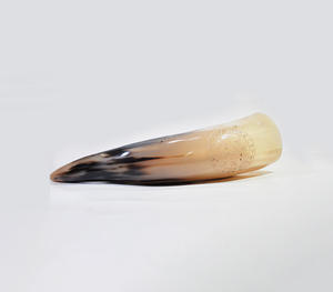 Authentic Handcrafted Natural Polished Buffalo Horn Blowing Horn With Distinctive <b>Black</b> And Honey Two Tone Coloration - Product Image 5