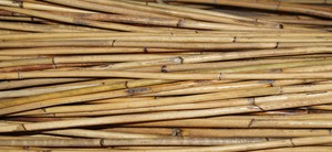 Canne en rotin écologique au Vietnam Akina - Product Image 5