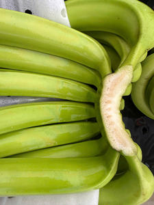 Exportación estándar plátano fresco Vietnam origen dulce sabor piel limpia buena capacidad de almacenamiento - Product Image 4