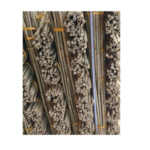 เสาไม้ไผ่โมโซที่ผ่านการบําบัด เสาต้นไม้ไม้ไผ่ตรง เสาไม้ไผ่ขนาดใหญ่ ก้านสกัดจากเวียดนาม - Product Image 1
