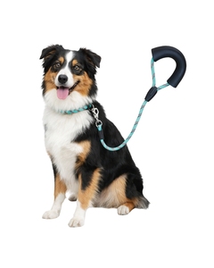 Laisse pour chien en nylon robuste à rayures, réglable, avec poignée rembourrée douce, fabricant OEM - Product Image 3