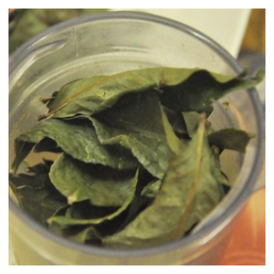 Feuille de goyave séchée en vrac du Vietnam Convient aux sachets de thé Savon fait main Soins des cheveux et plus - Product Image 6