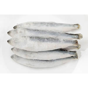 Sprats d'anchois entiers congelés emballage en vrac de haute qualité séché frais congelé poisson Kapenta vivant fournisseur en gros - Product Image 3