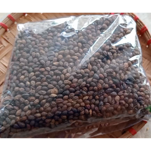 PAPAYA IS PERFECT FOR SEASONING, OIL EXTRACTION // VIETNAMESE SUPPLIER EXPORT <b>LARGE</b> QUANTITY - Product Image 4