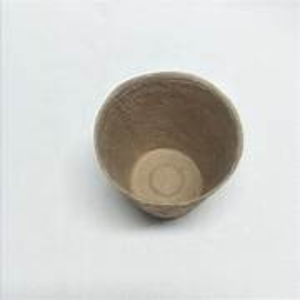 SustainOCoir Seedling <b>Pot</b> <b>Trays</b> Premium Quality <b>Pots</b> for Growing Healthy Plants - Product Image 6