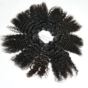 Paquets birmans crépus afro bouclés traitement chimique brut à cuticules alignées Aucune Extensions Double trame cheveux humains vietnamiens - Product Image 3