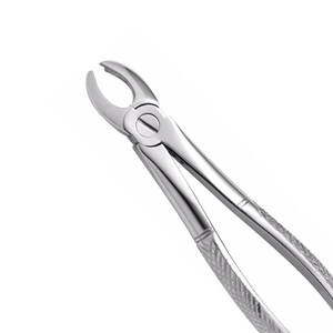 Fórceps de extracción dental con acabado satinado No. 150 y 151 Fórceps manuales de cirugía oral con mango curvo dentado - Product Image 5