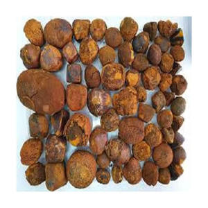 Meilleure vente de calculs biliaires de boeuf de vache séchés | Calculs biliaires de bétail | Calculs biliaires de vache et bézoard bas prix - Product Image 6