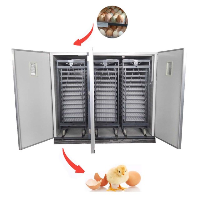 CE Approved Capacity 12672 Chicken Eggs Fowl Bird Egg Incubators HJ-I21