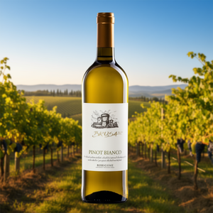 Italian BRUSA Pinot Bianco Rubicone IGT White <b>Wine</b> 750ml Delicate Floral Flavor 6 Bottles Per Box Made in Italy - Product Image 3