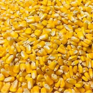 DDGS de maíz de grado alimenticio Premium para perros, aves de corral, ganado y acuicultura, polvo DDGS Natural de alta proteína - Product Image 3