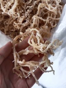 Algas naturales de algodón irlandés de Primera calidad-Algas secas Eucheuma Cottonii con muchos colores diferentes - Product Image 6