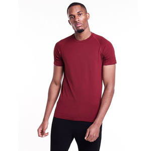 T-shirt compressé pour homme, course active, musculation, musculation, vêtements de sport de qualité, fitness, t-shirt d'entraînement ajusté pour hommes - Product Image 4