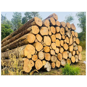 Achat en gros de bois de chauffage de teck de qualité supérieure pour les besoins énergétiques - Product Image 6