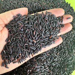 OEM Riz sain à la myrtille 5% cassé biologique Riz sauvage noir foncé RIZ ROSE ARROZ PRETO/ ARROZ NEGRO avec sac sous vide/ANNA DO - Product Image 4