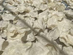 Gueule de poisson séchée du Vietnam avec une bonne qualité, prix compétitif au Vietnam/Colle de poisson séchée naturelle, gueule entière pour tonifier les aliments - Product Image 6