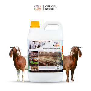 Commercial Poultry <b>Feed</b> <b>Additive</b> with Bacillus Subtilis for Strong Immunity & Weight Gain - Product Image 1