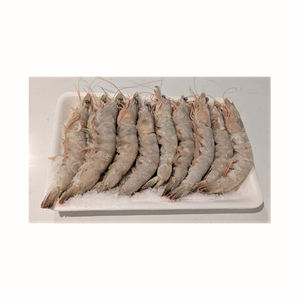 Camarones Vannamei congelados sin cabeza y con cáscara para exportación - Product Image 6