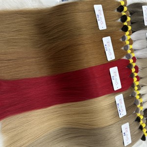 SLAVIC Luxe Qualité Russe Couleur Extensions de Cheveux Humains Vietnamien Remy Vierge Cheveux Europe Standard - Product Image 3