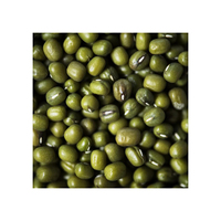 Haricots Mung Verts Brésiliens Séchés 100% Biologiques de Qualité Supérieure en Vrac 10kg au Prix de Gros