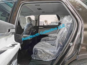 Hyundai Palisade SUV 2020, Nuevo y Usado, Bajo Kilometraje, Caja de Cambios Automática, Tamaño de Neumáticos R18, Color Oscuro, Euro VI, Gasolina/Gasolina, Volante a la Izquierda, Japonés - Product Image 6