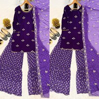 Robe d'hiver de luxe brodée en Georgette Modal lourde et pure, style culturel Punjabi, inspirée de la tenue de l'actrice indienne de la série télévisée Rubina Dilaik
