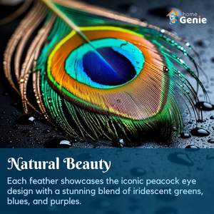 Home Genie Plumes de paon naturelles 10 à 12 pouces (paquet de 10) pour la décoration intérieure, l'artisanat et l'utilisation spirituelle - Product Image 3