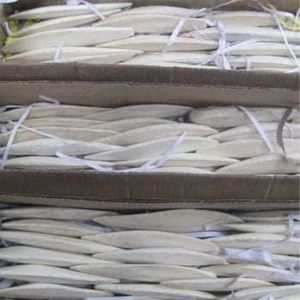 Séché pour l'alimentation des oiseaux Os de seiche nutritif - Product Image 1