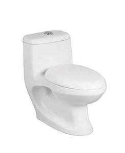 Ensemble de toilette monobloc en céramique moderne Réservoir dissimulé à double chasse monté au sol P-Trap Drainage Salle de bain WC Marché du Moyen-Orient - Product Image 5