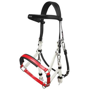 Fait sur mesure cheval licou produit équestre cheval licou pour chevaux Offre Spéciale nouvelle mode cuir équitation licous qualité supérieure - Product Image 3