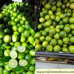 ผลไม้แช่แข็งจากผลไม้สดจากเวียดนามแพ็คสุญญากาศบรรจุจำนวนมาก - Product Image 6