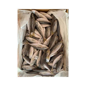 Eau de poisson chinchard congelée de qualité supérieure-emballée et nutritive-conservée dans un emballage en vrac - Product Image 2