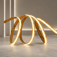 Tira de Luz LED COB Súper Brillante sin Puntos, 12V 24V CRI90+, Solución de Iluminación Lineal Flexible, PCB de 8mm, 320LEDs/m, para Estadios Deportivos, 10m