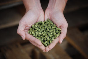 Granulés de bois de pin et de chêne A1 15 mm, motif bâton, densité 690, 4500 J, briquettes de combustible pour cuisson, États-Unis - Product Image 3