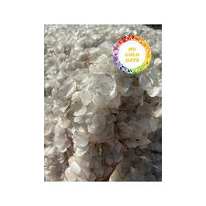 ÉCHELLES DE POISSON DE TILAPIA SÉCHÉES FOURNIR EN USINE MATIÈRE PREMIÈRE DE HAUTE QUALITÉ POUR LA PRODUCTION DE COLLAGÈNE ET LES APPLICATIONS COSMÉTIQUES - Product Image 4