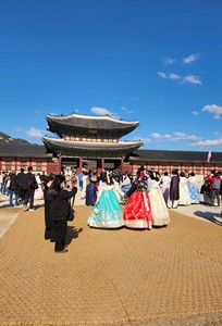 Tapis de coco de la meilleure qualité de l'usine vietnamienne tapis de paume paillasson pour la fabrication de routes Agriculture frappé sur le marché coréen - Product Image 6