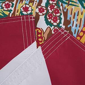 Drapeau de l'État de la Floride 3x5 pieds pour extérieur, drapeaux double face à 3 couches, en polyester avec 2 œillets en laiton pour l'extérieur/l'intérieur (Floride) - Product Image 3