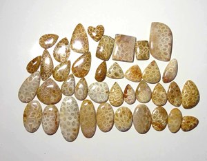 Cabochon de pierres précieuses en vrac de corail fossilisé naturel de meilleure qualité mélange de pierres précieuses en vrac forme et taille utilisation de pierres précieuses pour la fabrication de bijoux - Product Image 1