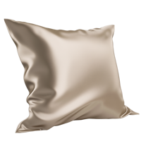 Conception personnalisée OEM 16-22 Momme 6A Grade taie d'oreiller en satin de soie turque brodée vierge feuilles élégantes impression 100% soie OEKO-TEX