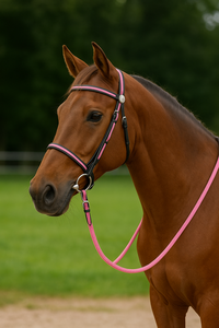 Bridon en PVC blanc de haute qualité avec mors en cuir pour l'équitation d'endurance, licol équestre à prix de gros - Product Image 4