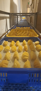 IQF Vietnam Frozen <b>Pineapple</b> Pieces High Quality Supply Guaranteed <b>Fresh</b> - Product Image 4