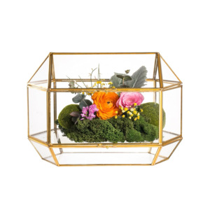 Joyero de Terrario de cristal dorado multiusos moderno con almacenamiento de Metal para la decoración del jardín del hogar para el uso del Paquete de plantas - Product Image 6