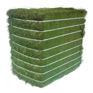 Heno de Alfalfa y Timothy Verde de Primera Calidad en Pacas para Alimentación de Ganado, Suministro de Exportación, Alto Contenido de Forraje, Producto Agrícola Global, Ganadería, Tailandia - Product Image 6