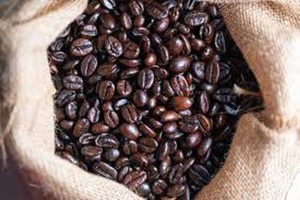 Café en grains Arabica et Robusta torréfiés de qualité supérieure, 100% pur, sacs de 25 kg, qualité d'exportation - Product Image 3