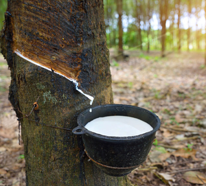 Factory Price High QualityNatural <b>Rubber</b> Latex 60% Molding Grade with Chemical Resistance and Aging Resistance Wholesale Price - Product Image 4