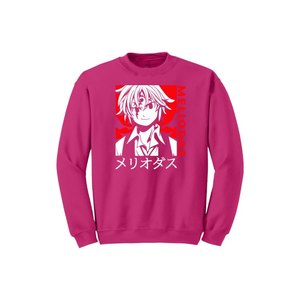 เสื้อสเวตเตอร์คอลเลกชั่น100% ผ้าคอตตอนพิมพ์ลายหน้าอกดีไซน์และสีสำหรับ Winter-280gsm + - Product Image 6