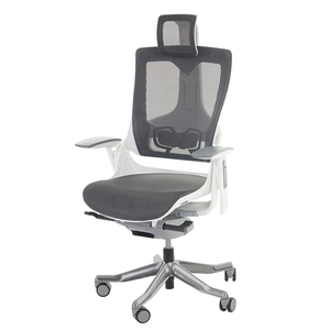 เก้าอี้สำนักงานระดับไฮเอนด์ Ergonomic Wonder II-01 ดีไซน์ร่วมสมัย พร้อมวัสดุโลหะโครเมียมและตาข่าย รุ่น HOGVP127 - Product Image 1