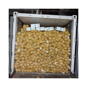 Prêt à expédier : Noix de coco mûre de qualité pristine pour les plats de cuisine asiatique et composant essentiel pour le beurre de coco de haute qualité - Product Image 6