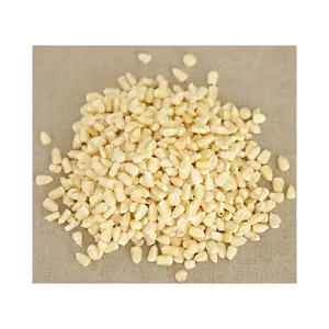 Maïs/maïs blanc séché de grade 2 sans OGM adapté à la consommation humaine et à l'alimentation animale origine sucrée séchée